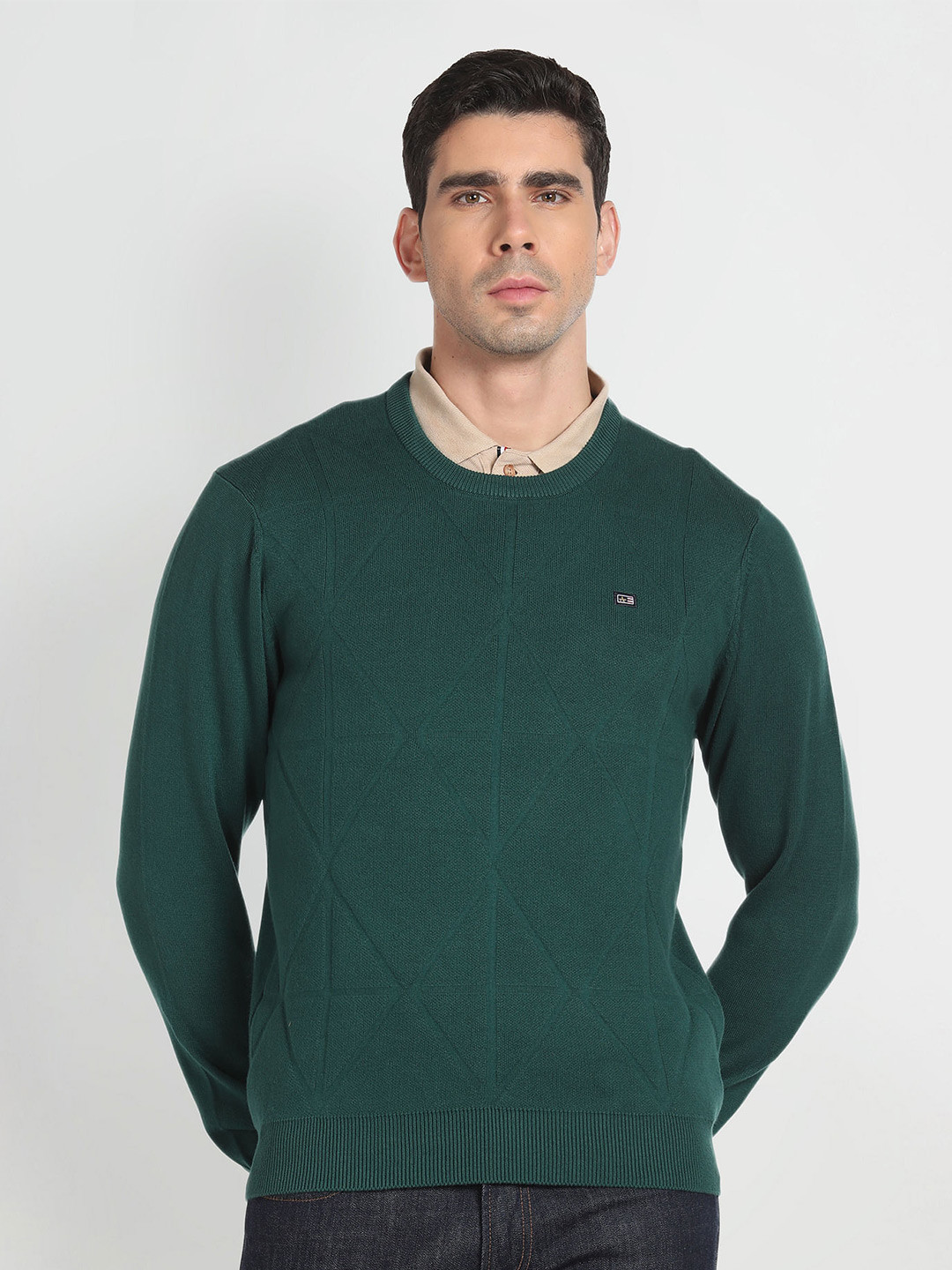 

Arrow Sport Round Neck Sweater, Green