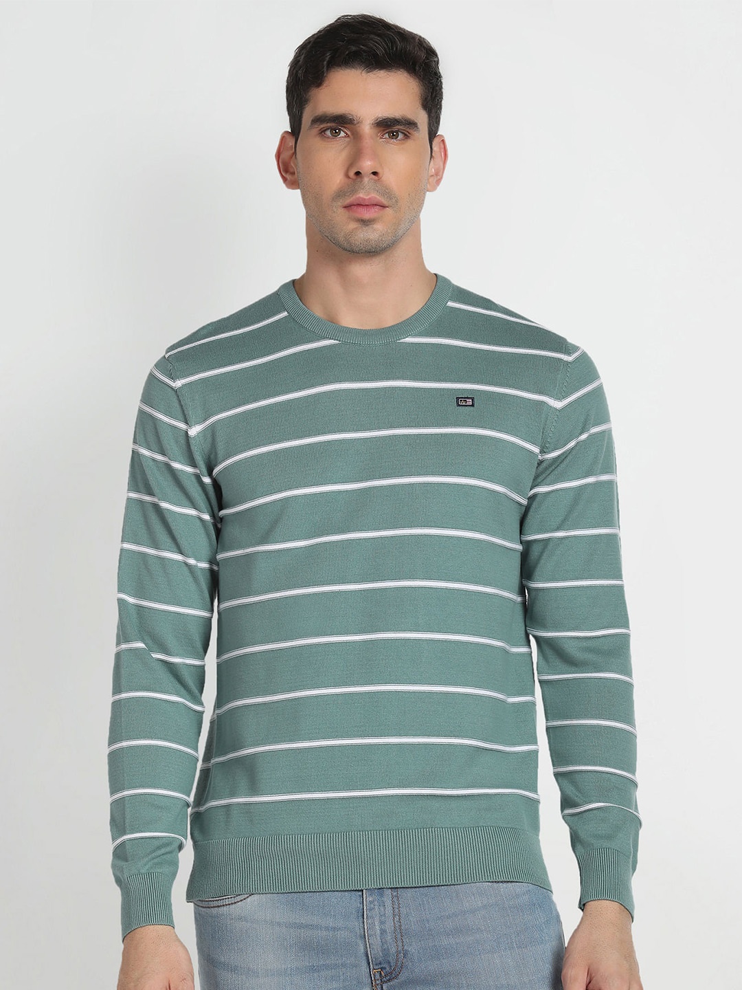 

Arrow Sport Round Neck Striped Pure Cotton Pullover Sweater, Green