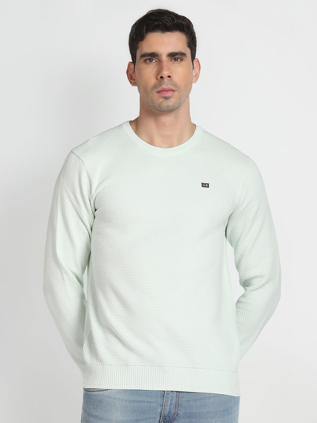 

Arrow Sport Round Neck Self Design Pure Cotton Pullover Sweater, Green