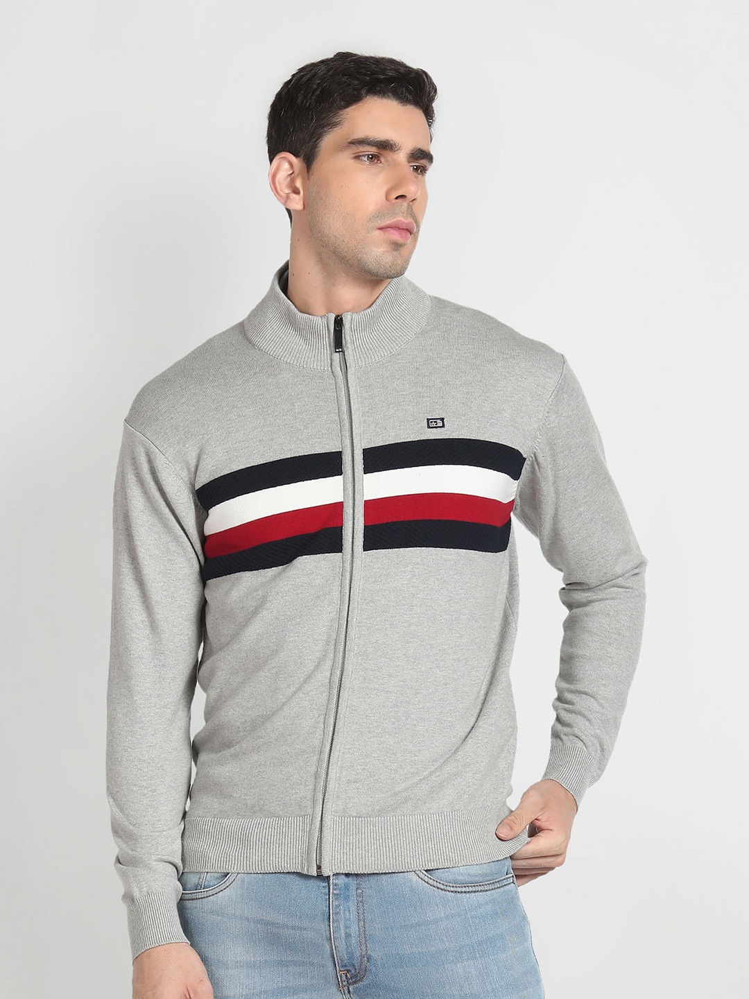 

Arrow Sport Mock Collar Striped Pure Cotton Sweater, Grey