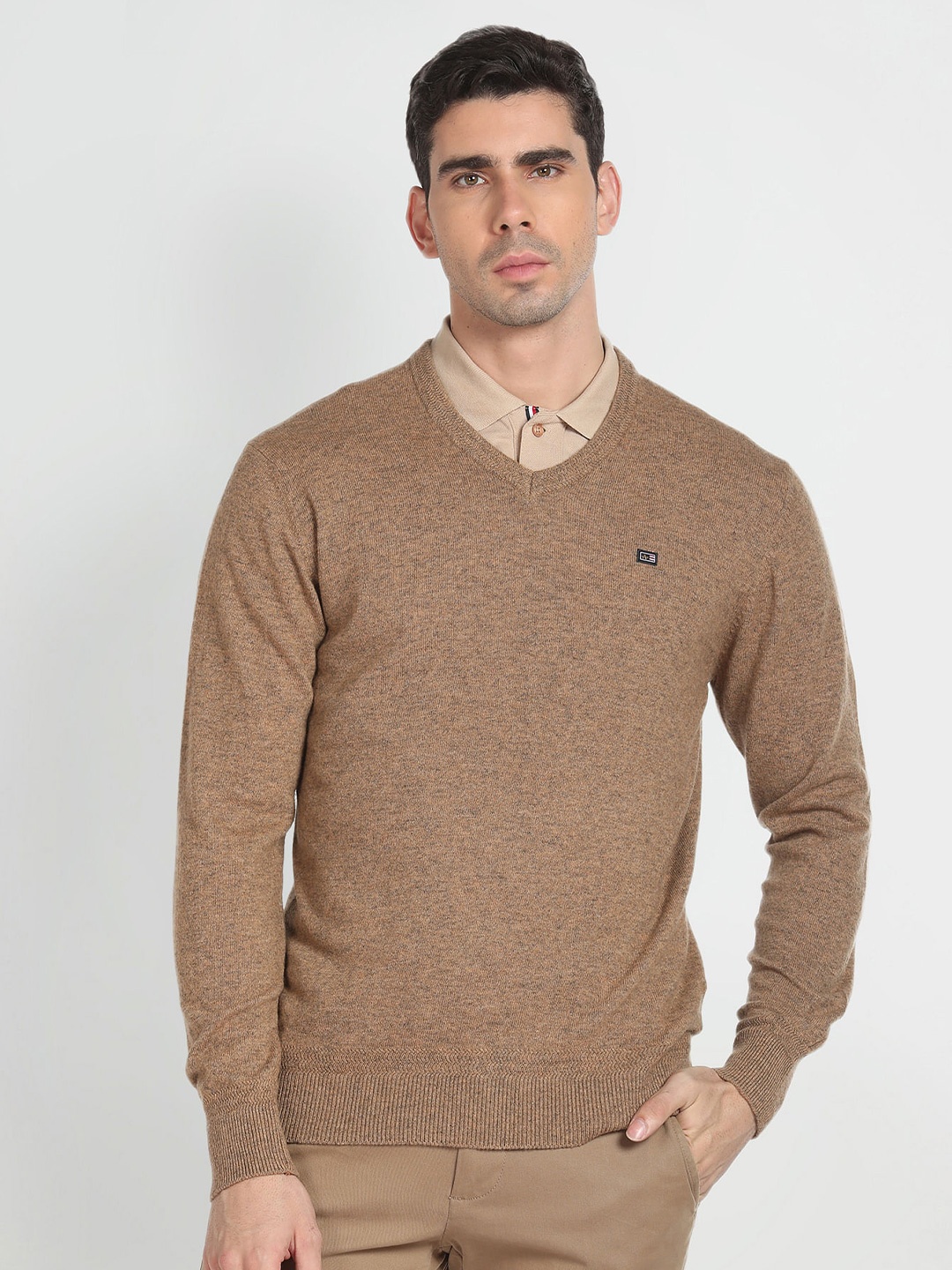 

Arrow Sport V-Neck Pullover Sweater, Brown