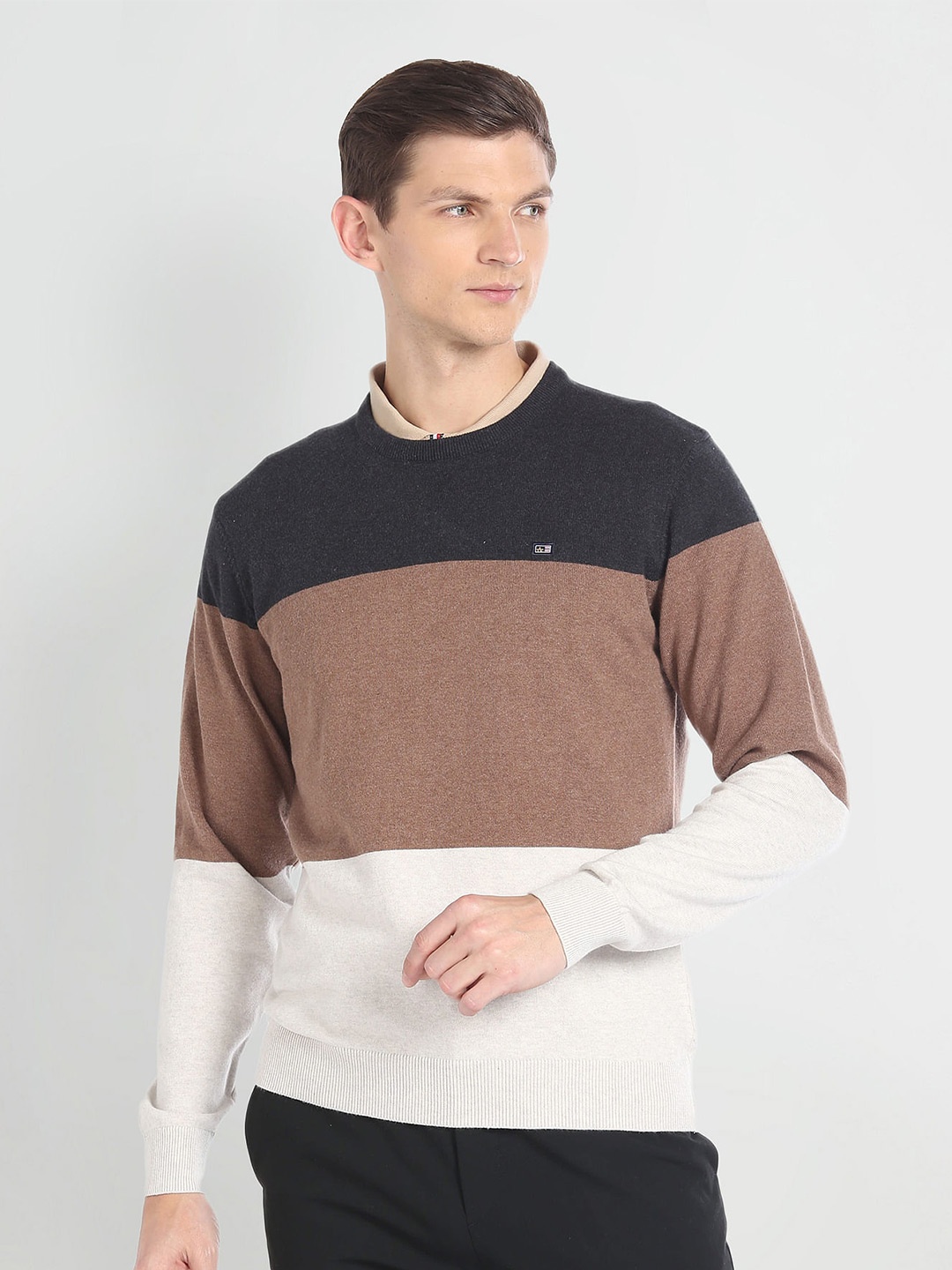 

Arrow Sport Colourblocked Pure Cotton Pullover, Black