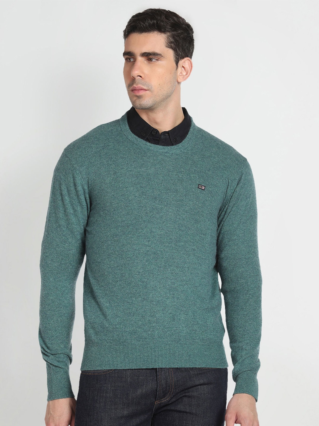 

Arrow Sport Long Sleeves Woollen Pullover, Green
