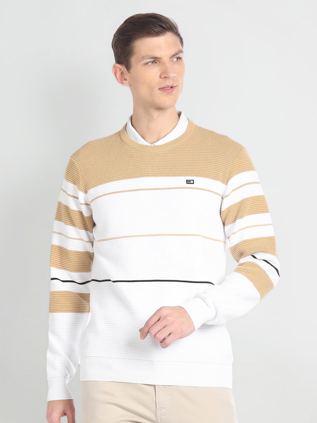 

Arrow Sport Striped Long Sleeves Pullover, Beige