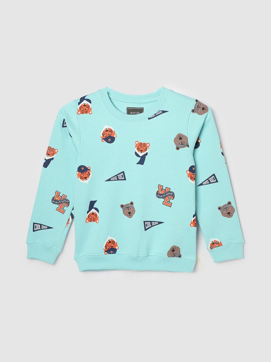 

max Boys Graphic Printed Round Neck Sweatshirt, Sea green