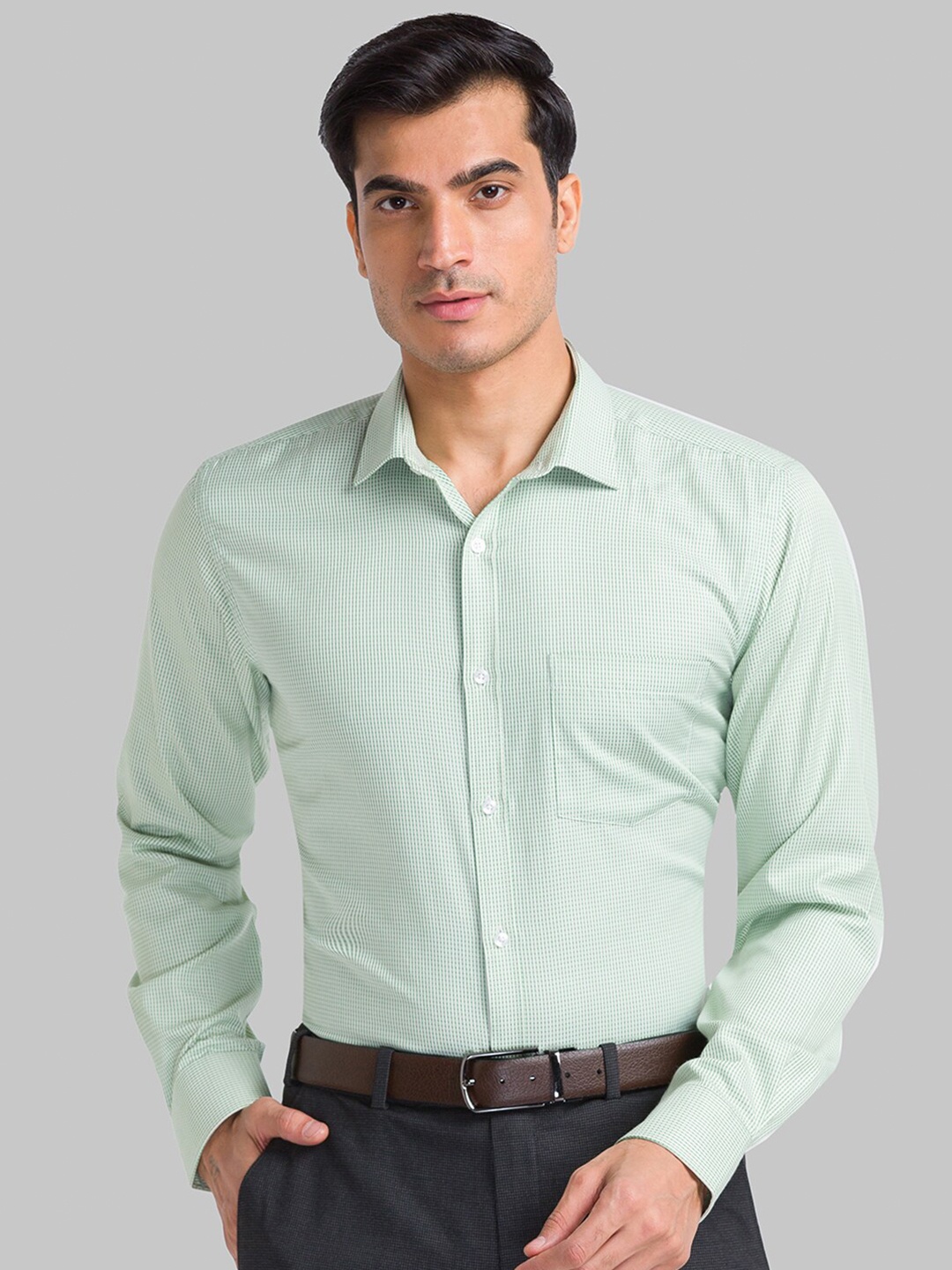 

Park Avenue Micro Checks Slim Fit Casual Shirt, Green