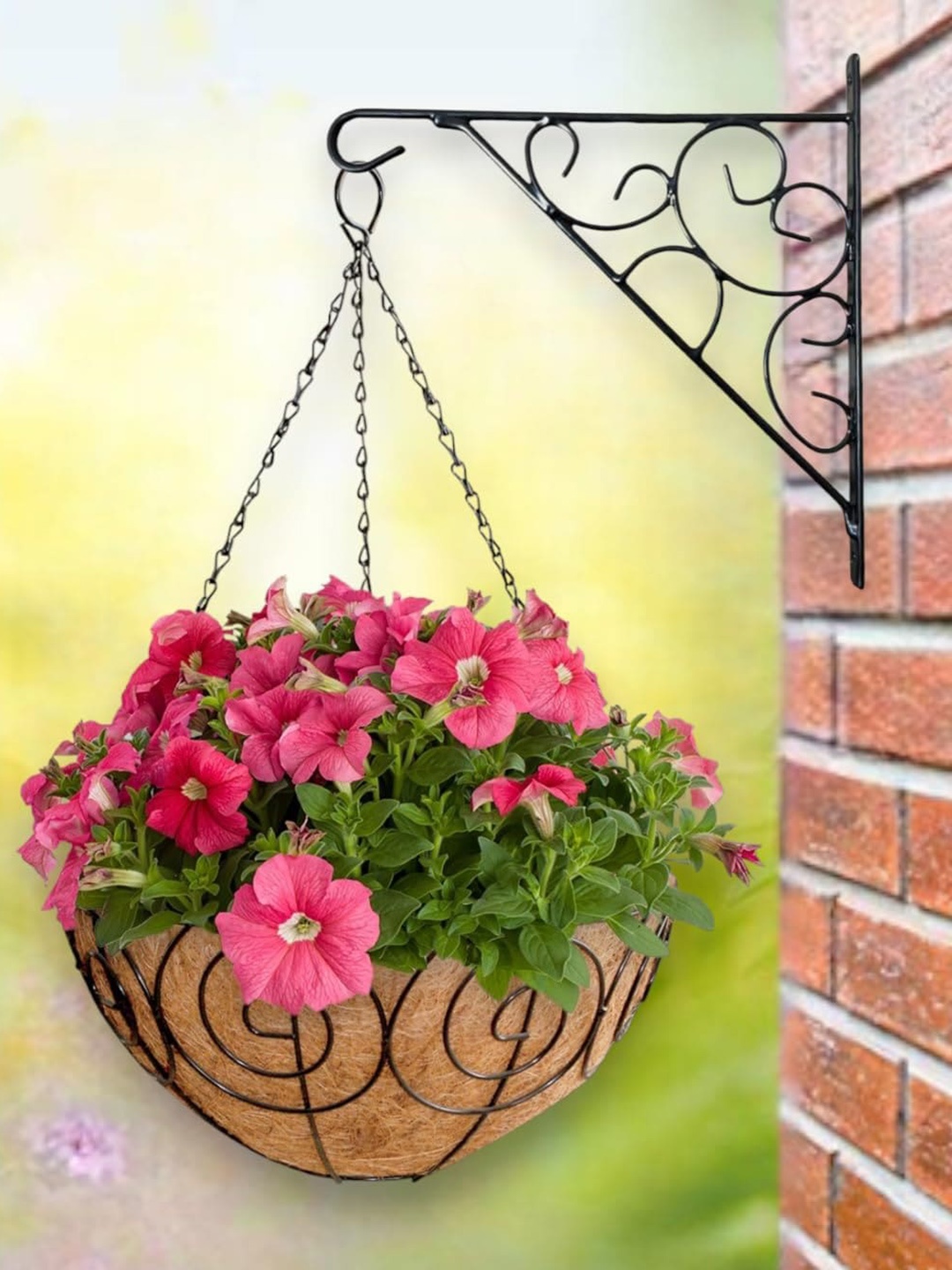 

Garden Deco Brown & Black 2 Pieces Metal Coir Hanging Basket with Chain Planter