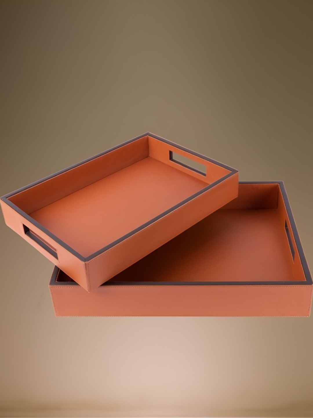 

CasaGold 2 Pcs Brown Leather Rectangle Trays