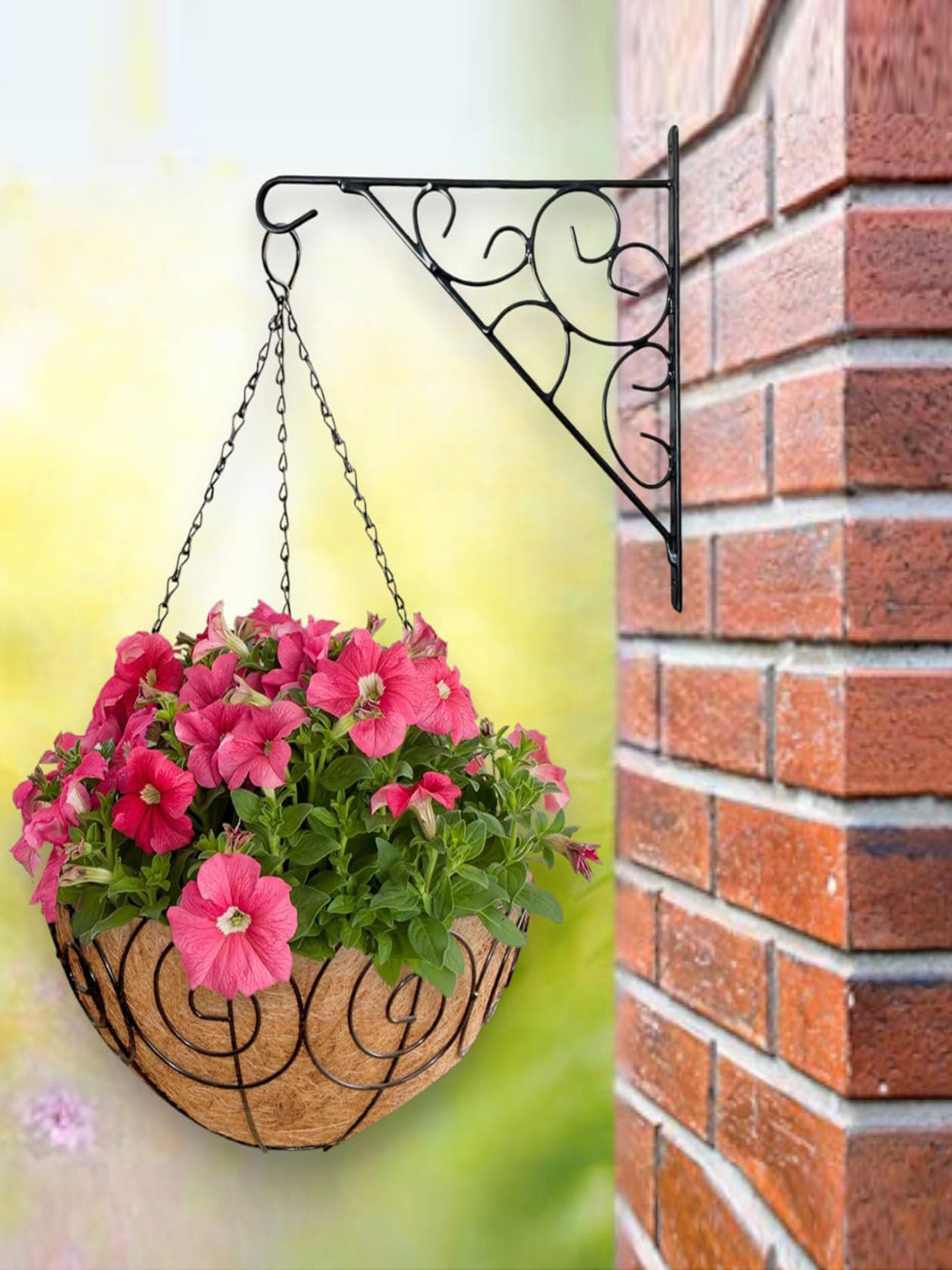 

Garden Deco Black & Brown 6 Pieces Designer Coir Hanging Basket With Chain Planters