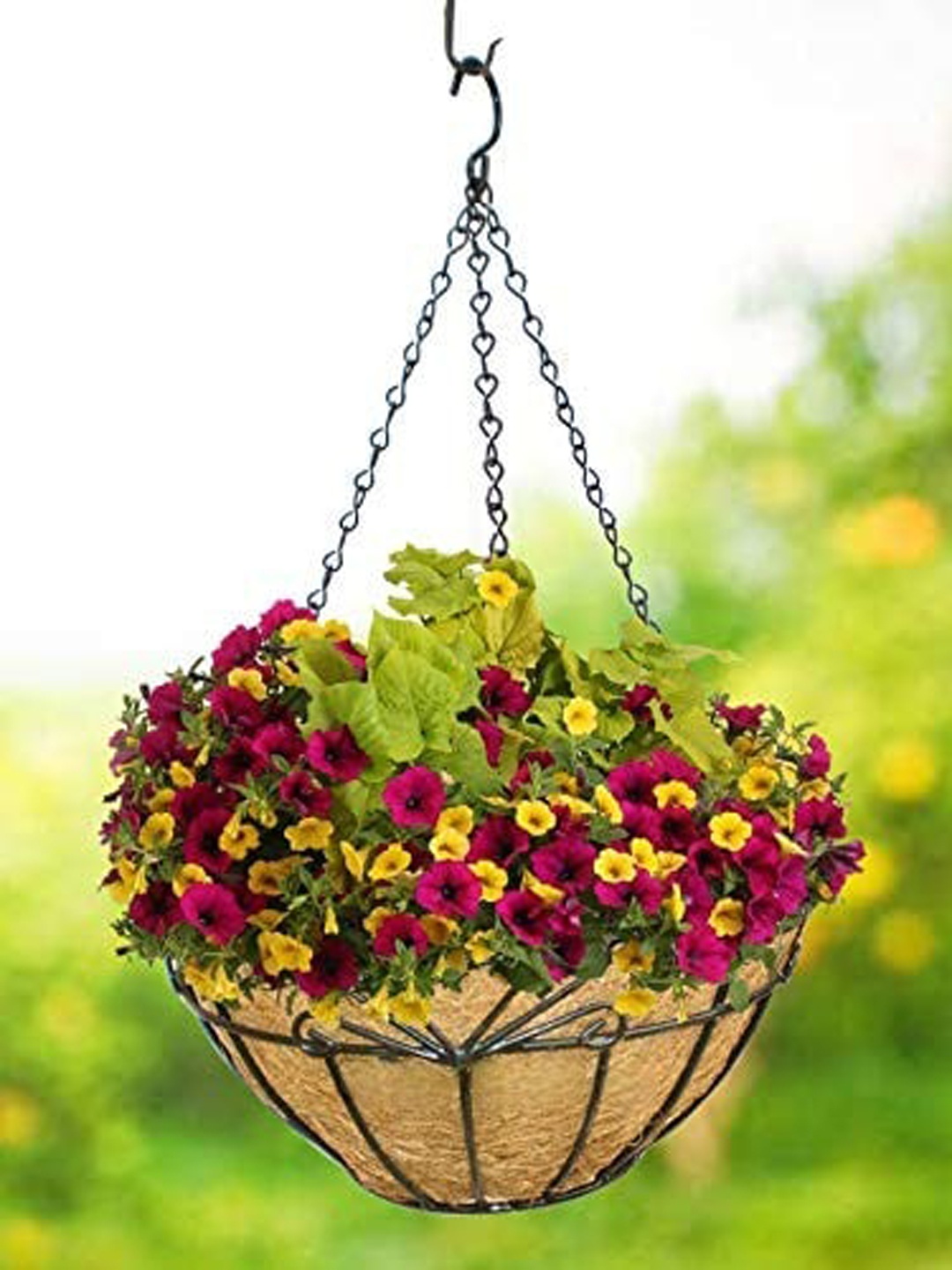 

Garden Deco Black & Brown 2 Pieces Heart Design Coir Hanging Basket With Chain Planters