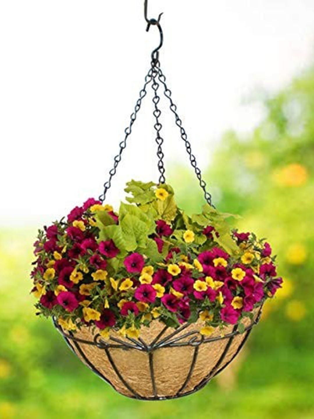 

Garden Deco Green & Brown 5 Pieces Coir Hanging Basket With Metal Hanging Chain Planters, Black