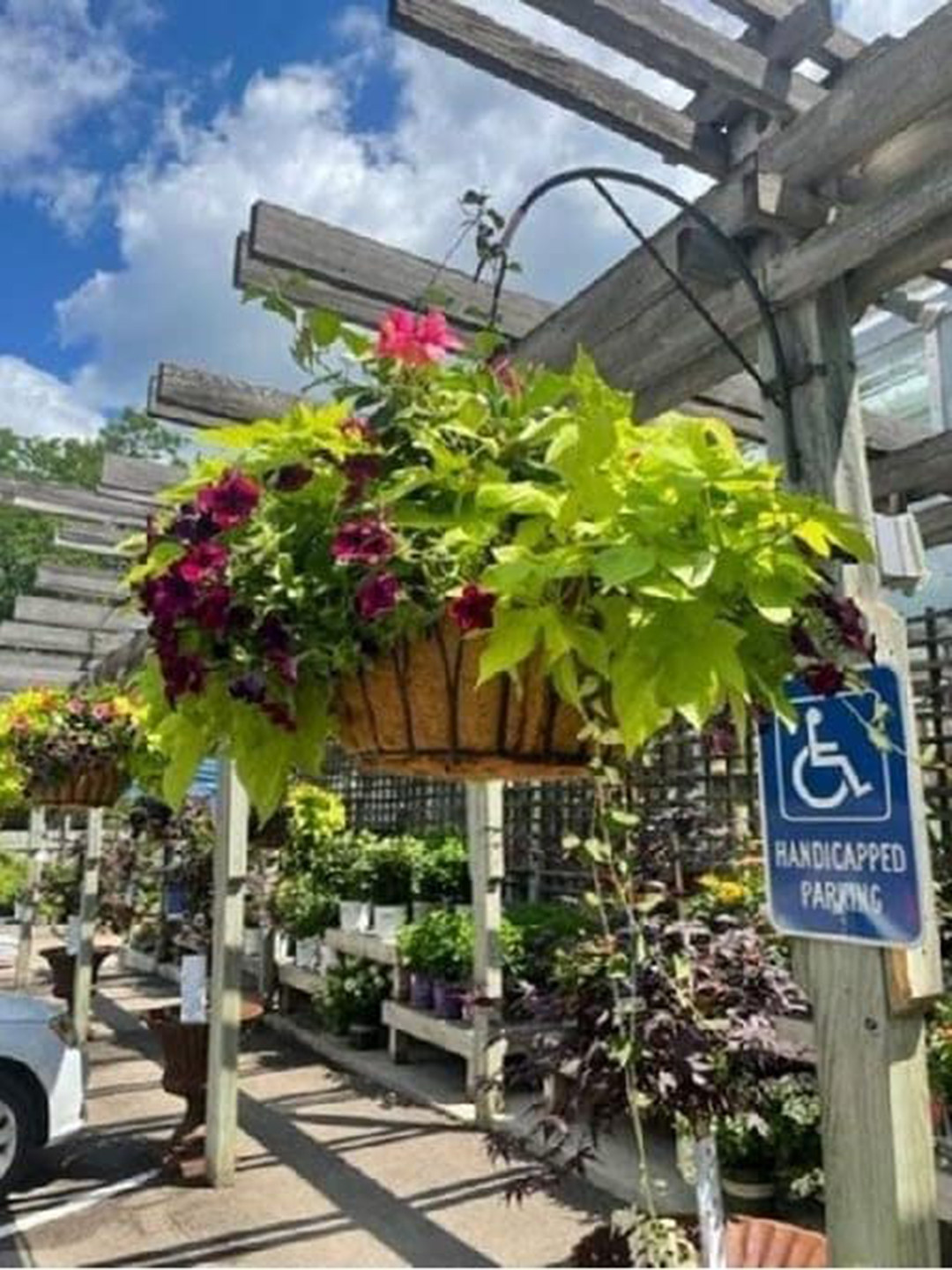 

Garden Deco 2 Pieces Metal Designer Coir Hanging Basket Planter With Chain, Black