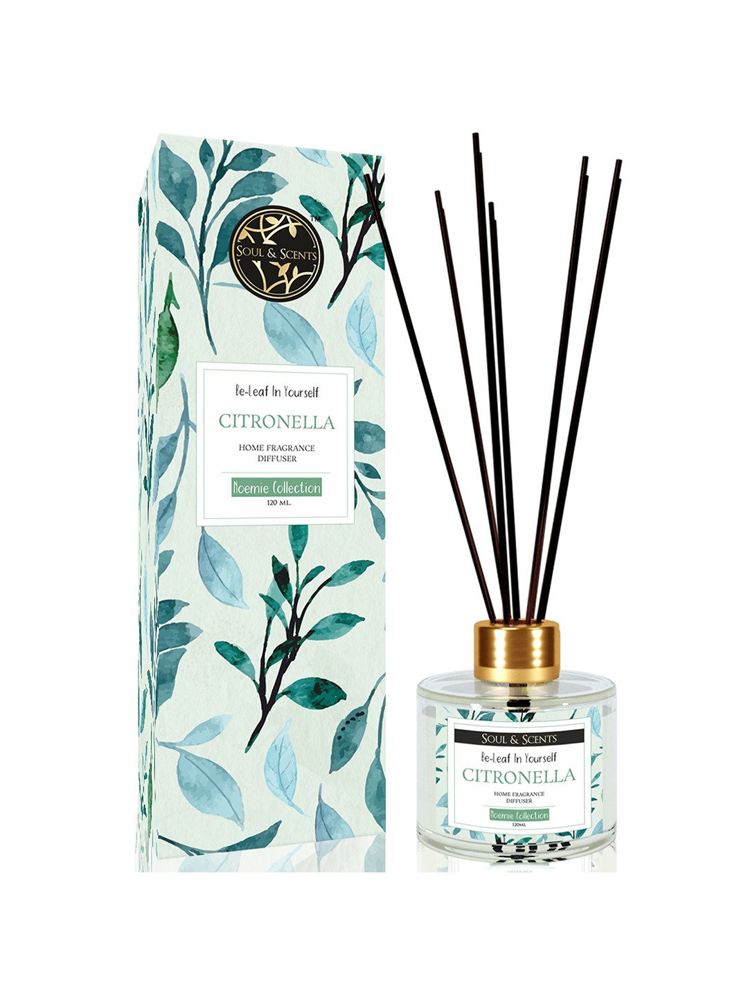 

SOUL & SCENTS Citronella Fragrance Reed Diffuser With 6 Pieces Reed Sticks 120 ml, Transparent