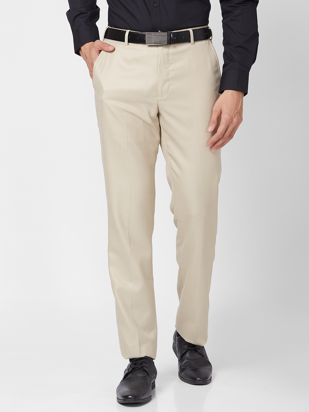 

Park Avenue Men Mid Rise Self Design Textured Smart Formal Trousers, Beige