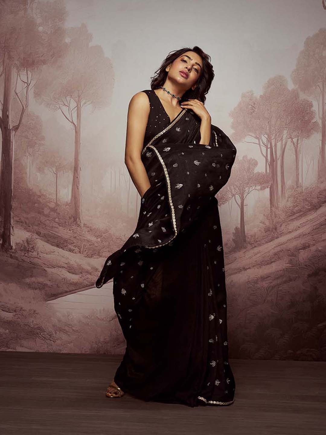

Saaki Ethnic Motifs Embroidered Saree, Black