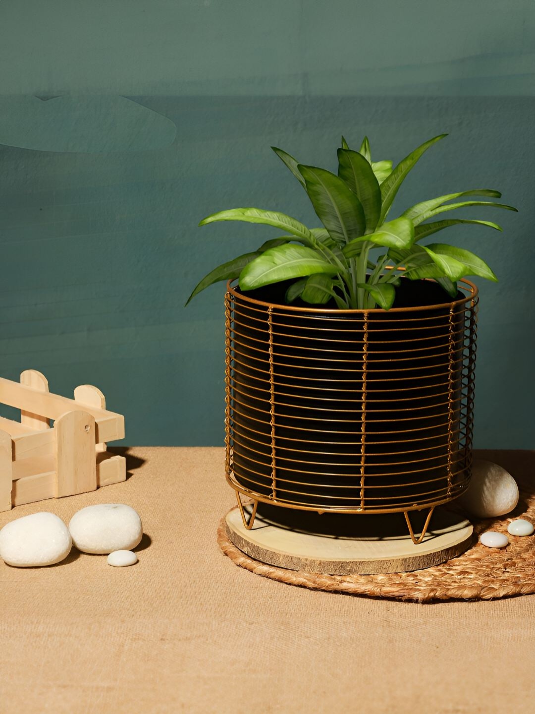 

Homspurts Black & Gold Toned Metal Planter With Stand