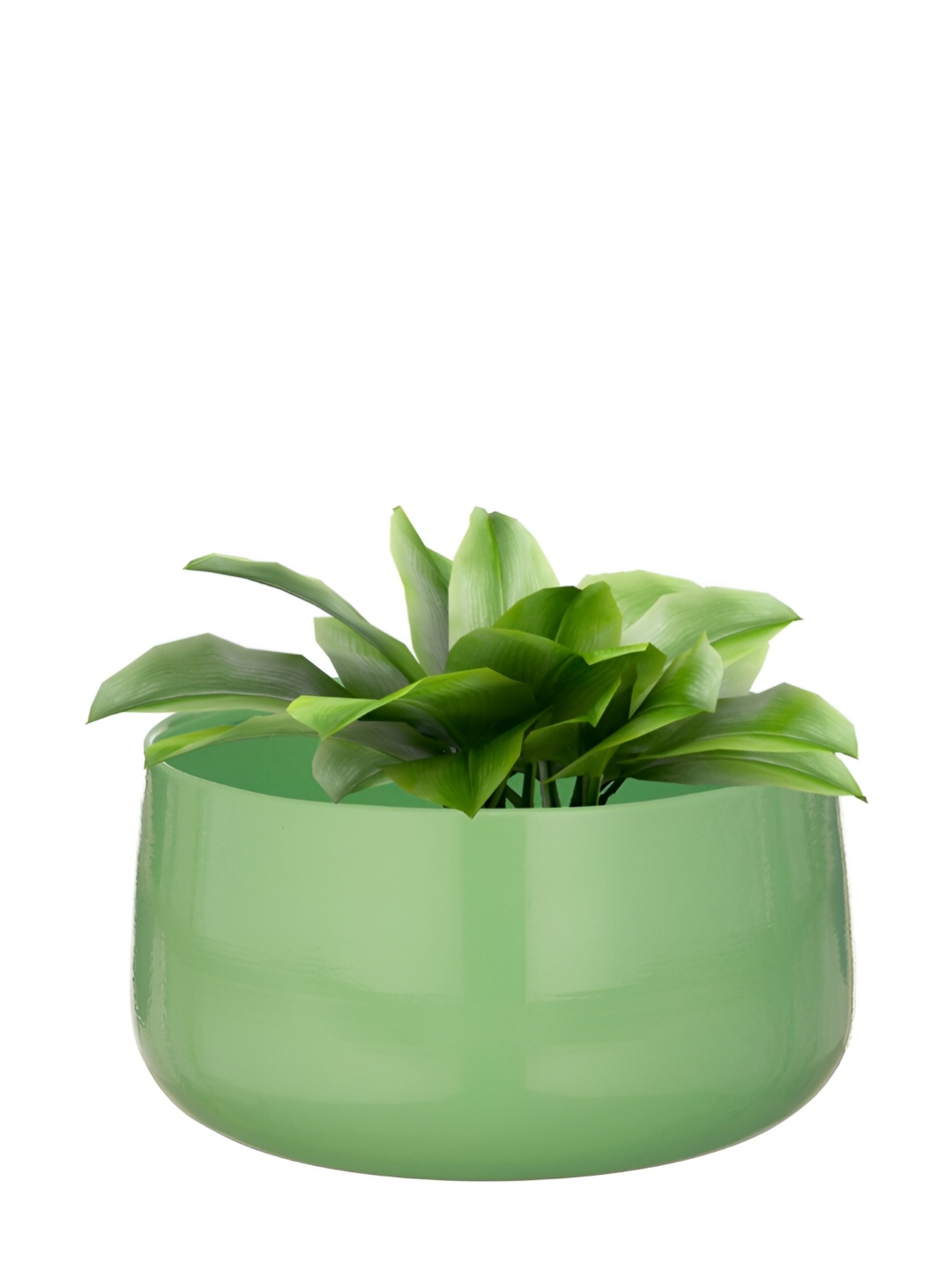 

Homspurts Dish Green Powder Coated Metal Planter