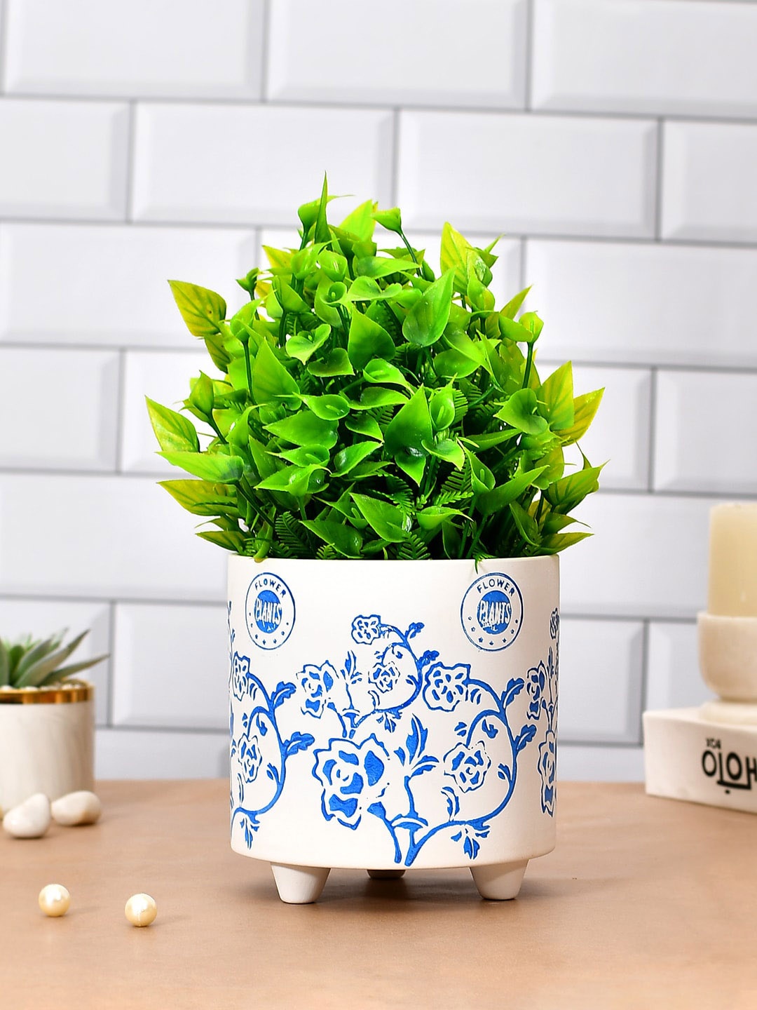 

TAYHAA White & Blue Printed Botanical Bliss Ceramic Planter