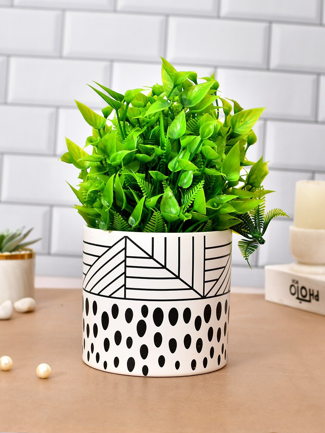 

TAYHAA White & Black Printed Ceramic Planter
