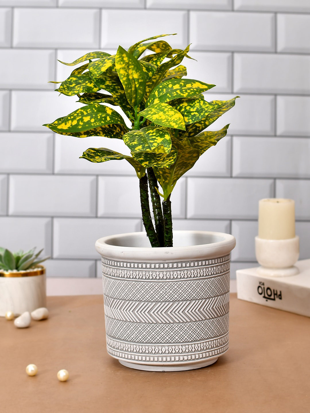 

TAYHAA Blossom Black & White Textured Ceramic Planter