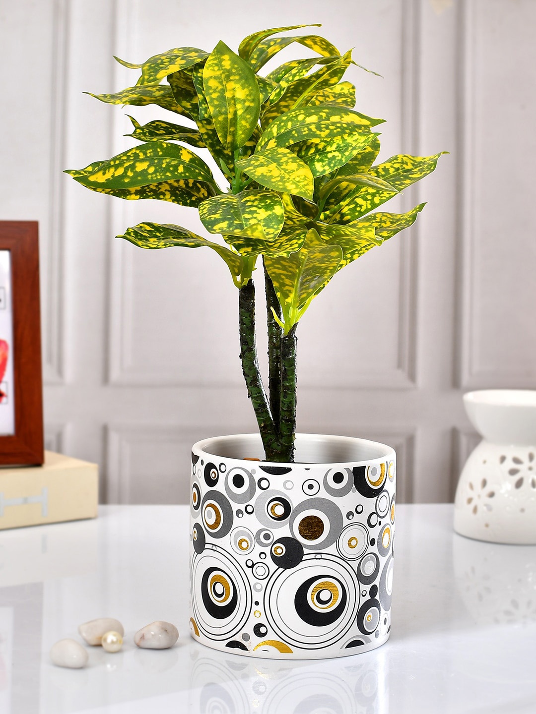 

TAYHAA White Black Harmony of Circles Printed Ceramic Planter