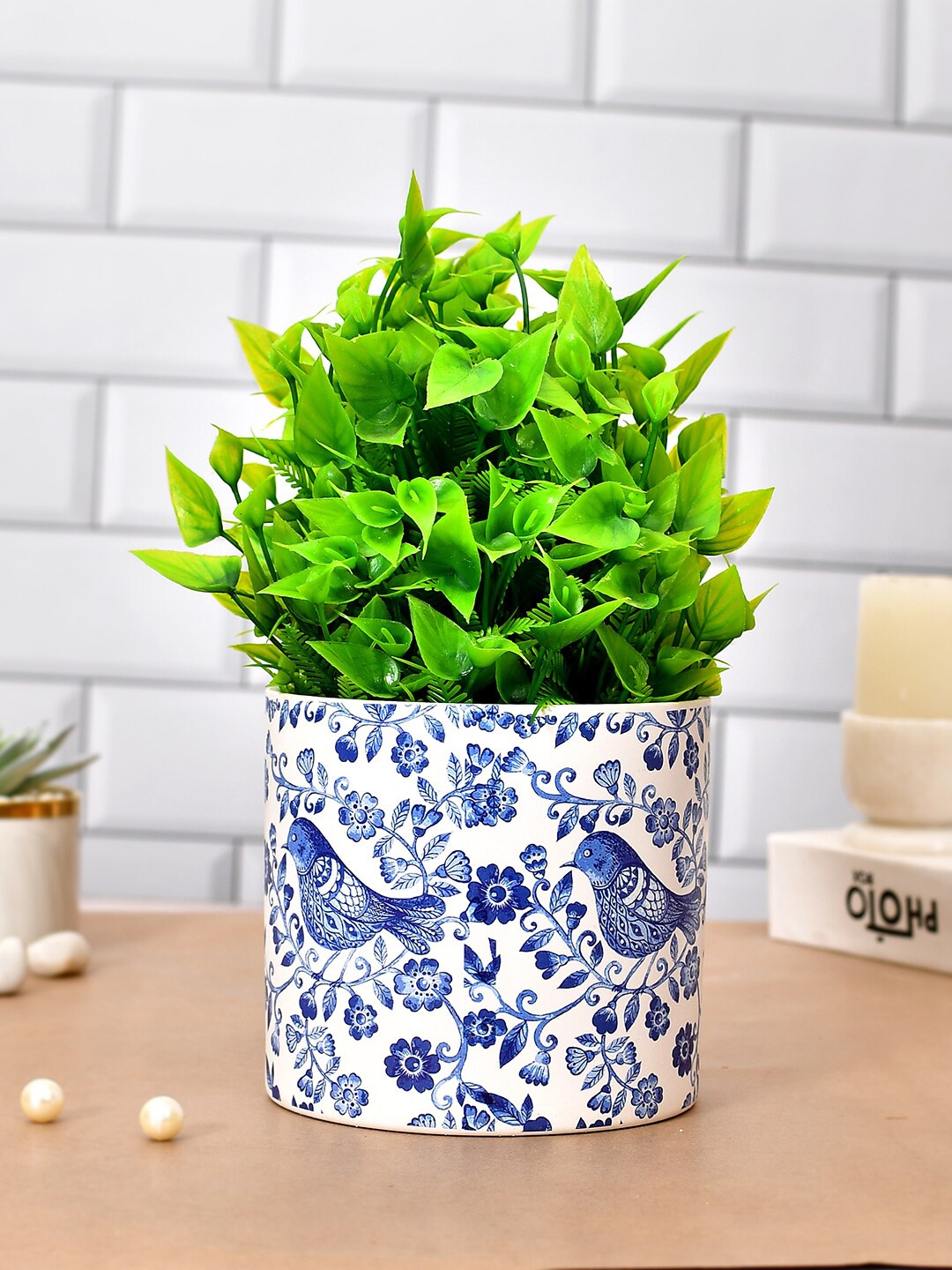 

TAYHAA White Blue Printed Ceramic Planter