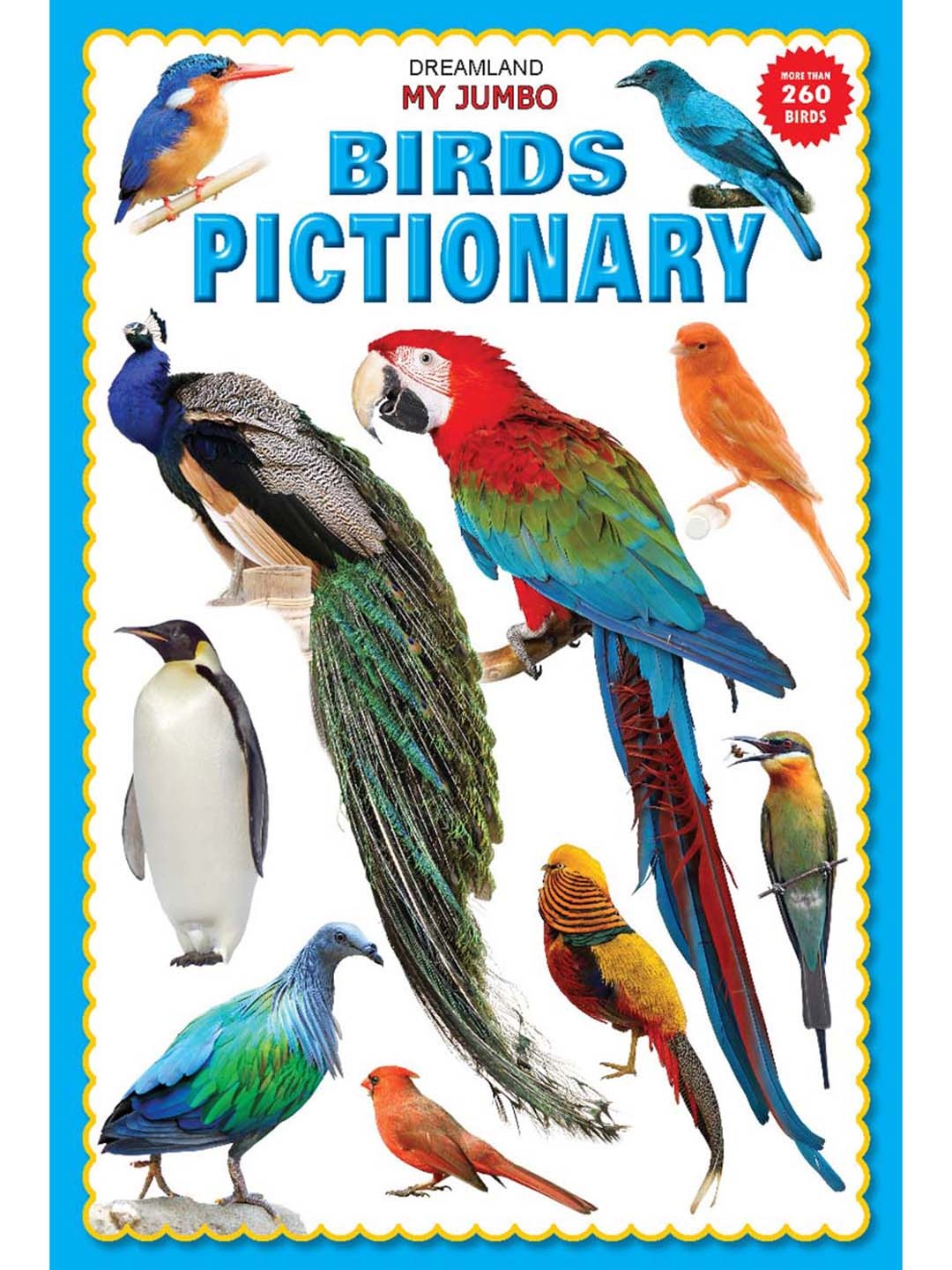 

Dreamland Kids My Jumbo Birds Picture Book, White