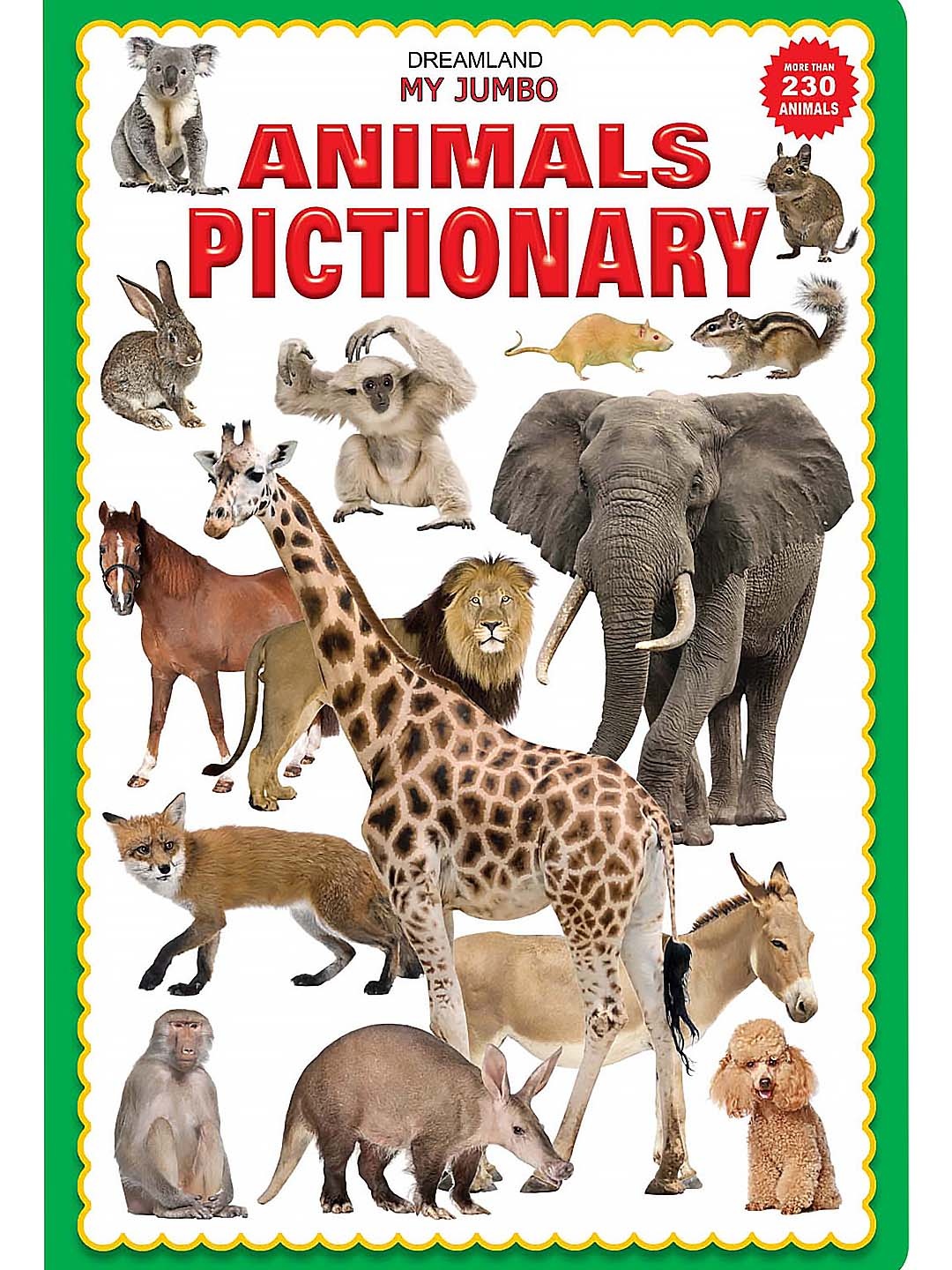 

Dreamland Kids My Jumbo Animal Pictionary Picture Book, White