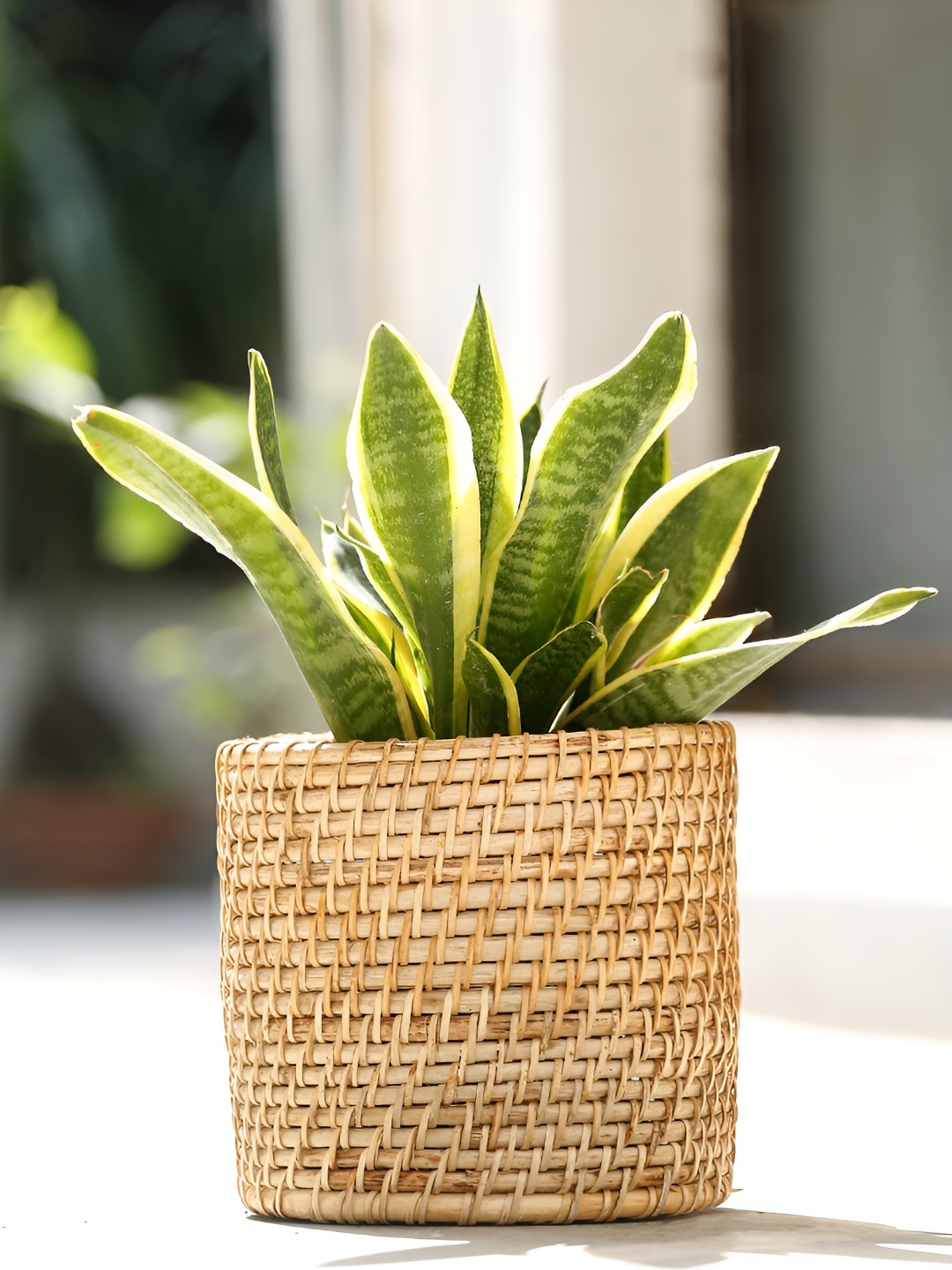 

Shilpkara Brown Rattan Organiser Multi-utility Storage Basket