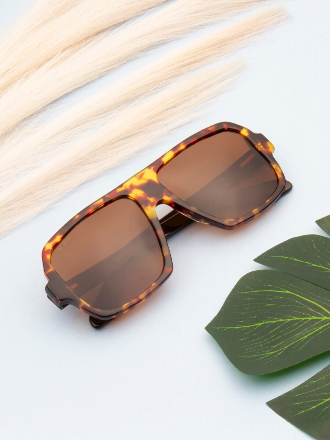 

Ted Smith Unisex Square Sunglasses with Polarised Lens FORD_C7, Brown