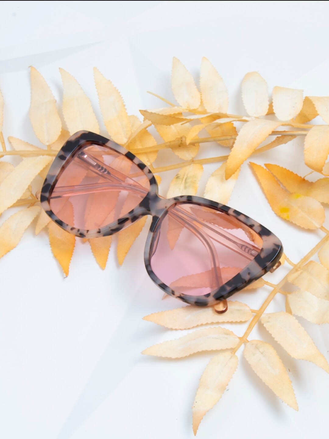

Ted Smith Women Cateye Sunglasses with Polarised Lens-MACCY_PINK
