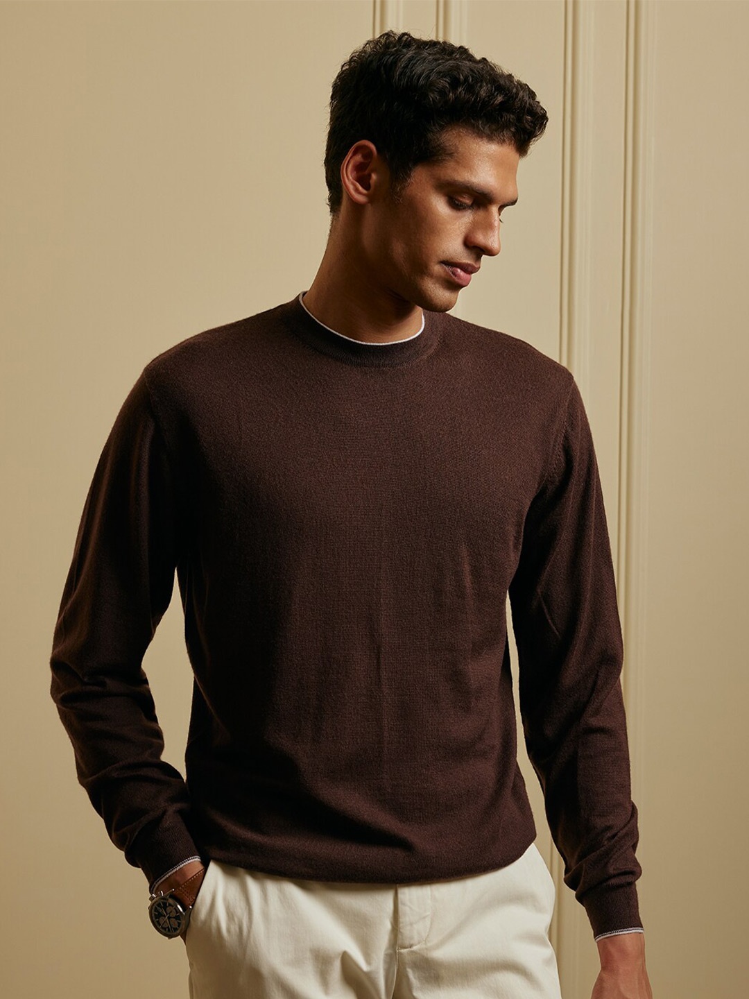 

Andamen Men Full Sleeve Merino Wool Crew, Brown