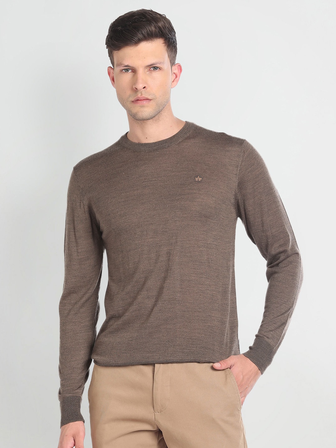 

Arrow Round Neck Woollen Acrylic Sweater, Brown
