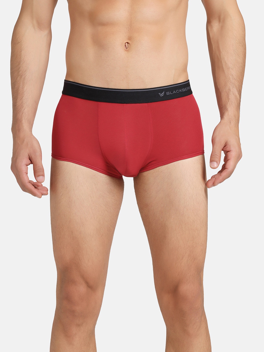 

Blackberrys Cotton Basic Briefs ITPM0011R3SS19FX, Maroon