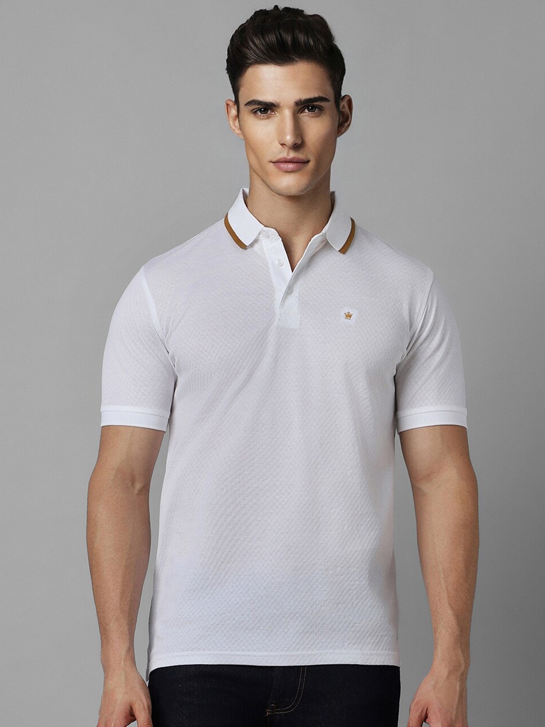 

Louis Philippe Textured Polo Collar Cotton T-shirt, White