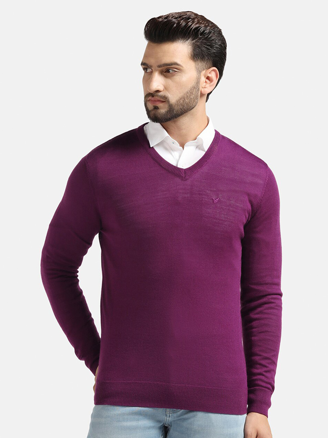 

Blackberrys Long Sleeves V-Neck Acrylic Pullover, Purple