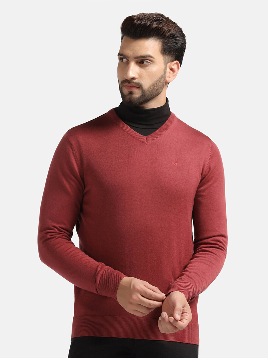 

Blackberrys Long Sleeves V-Neck Acrylic Pullover, Rust