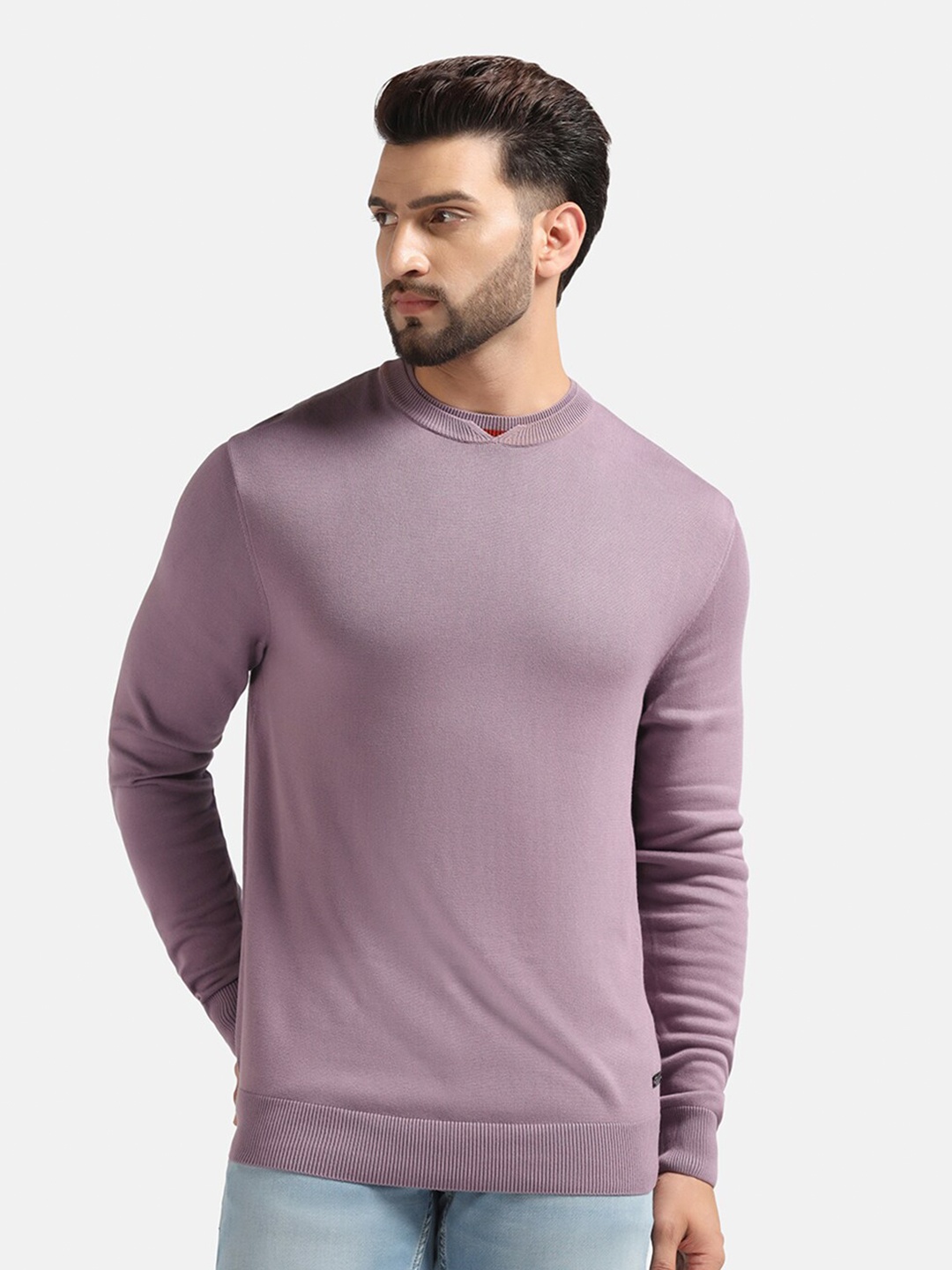 

Blackberrys Round Neck Long Sleeves Cotton Pullover, Purple