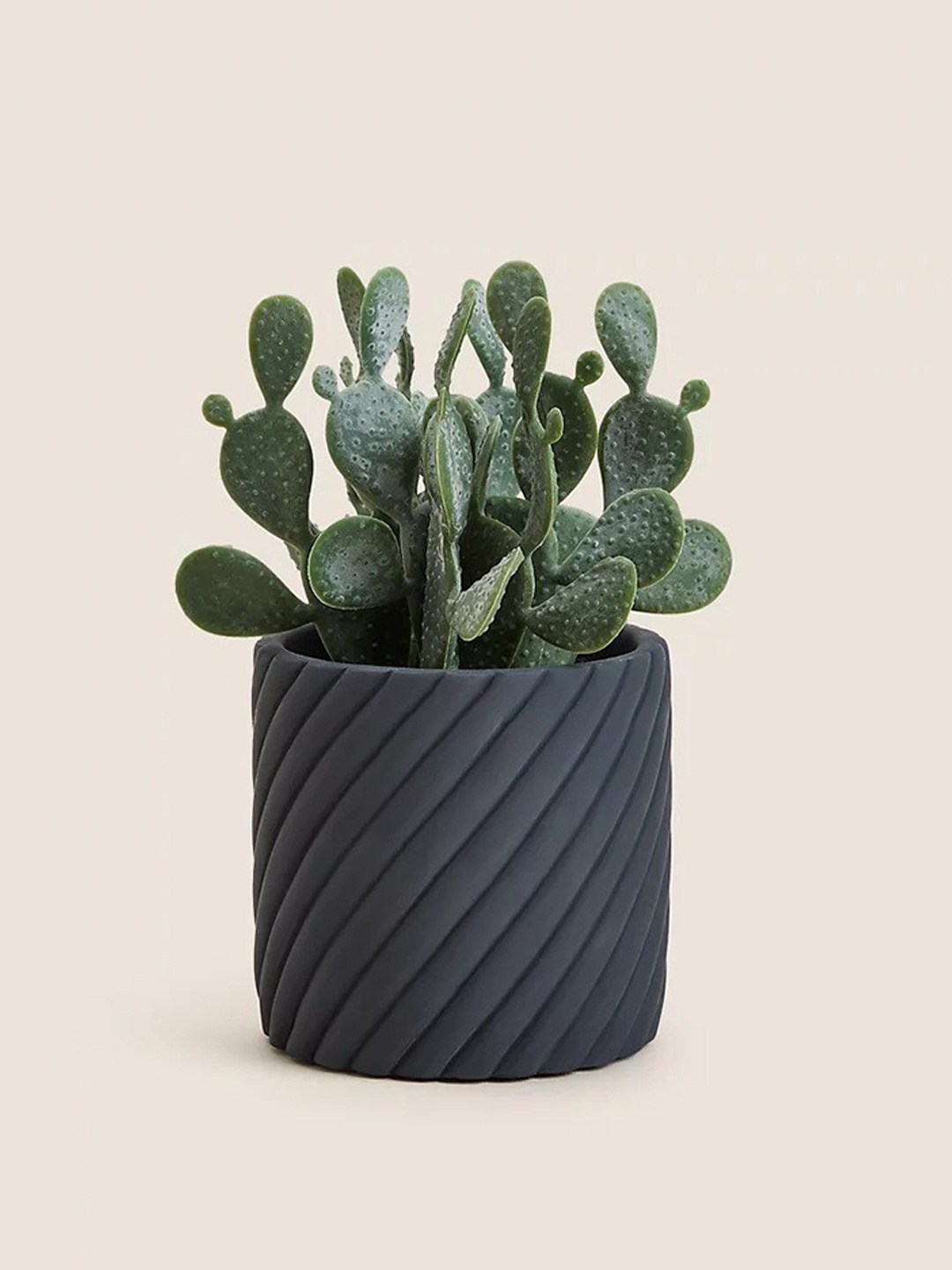 

Marks & Spencer Green Artificial Cactus Plant With Pot, Grey