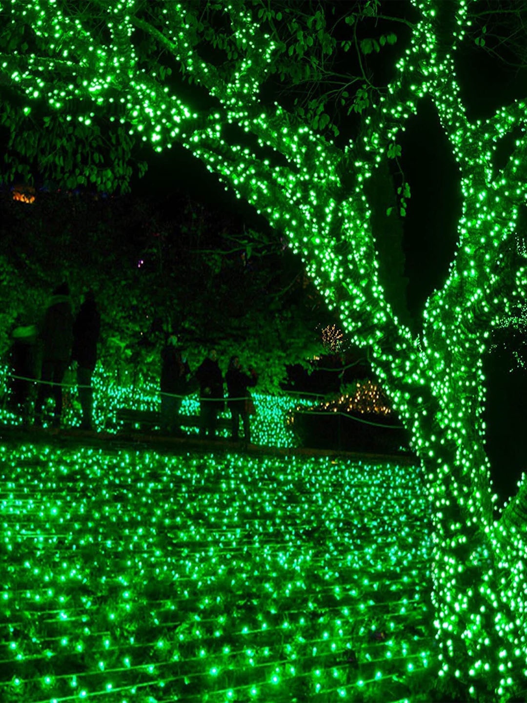 

The Purple Tree Decorative String Lights, Green