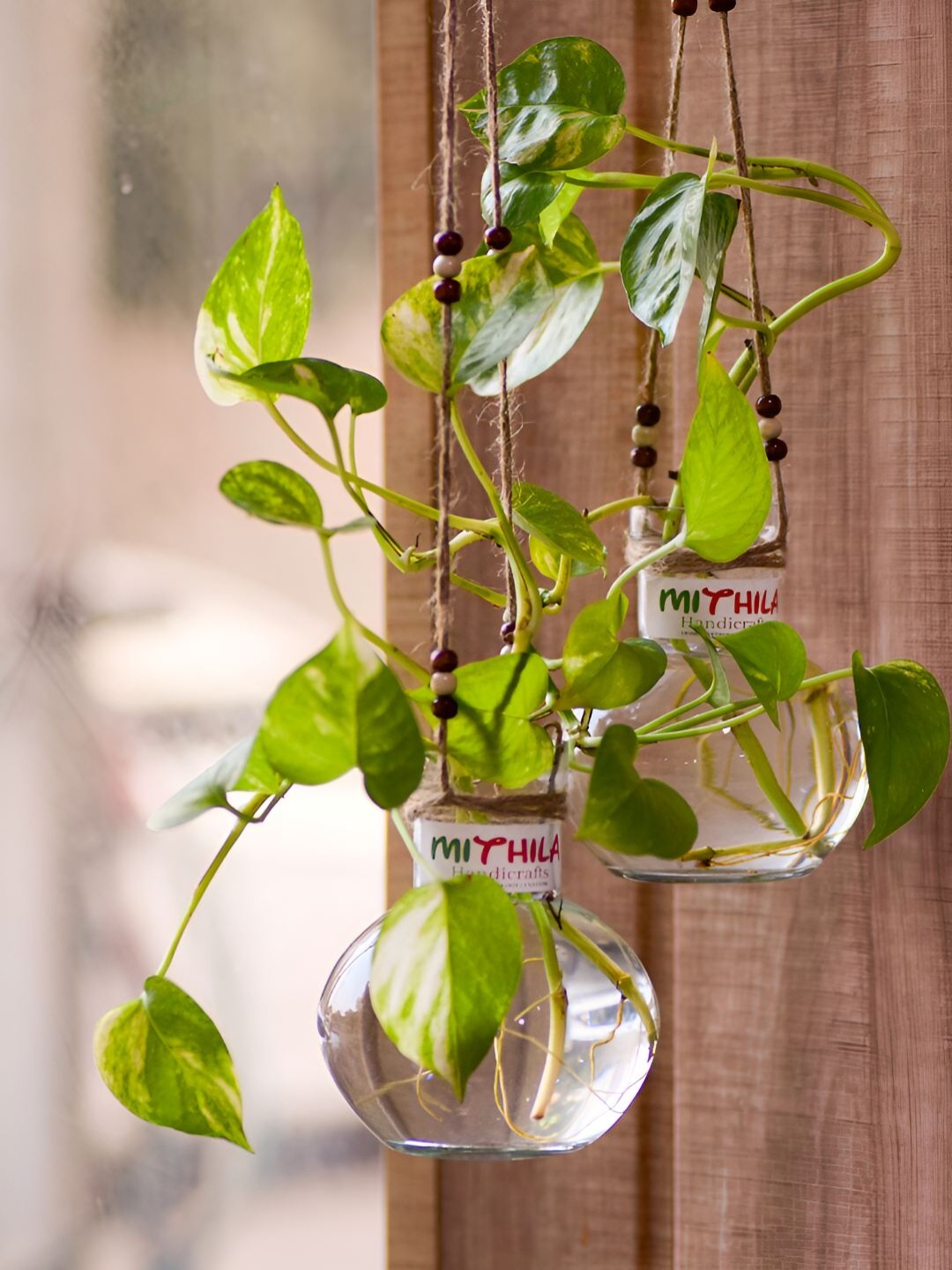 

MITHILA Handicrafts Transparent 2 Pieces Hanging Glass Vase