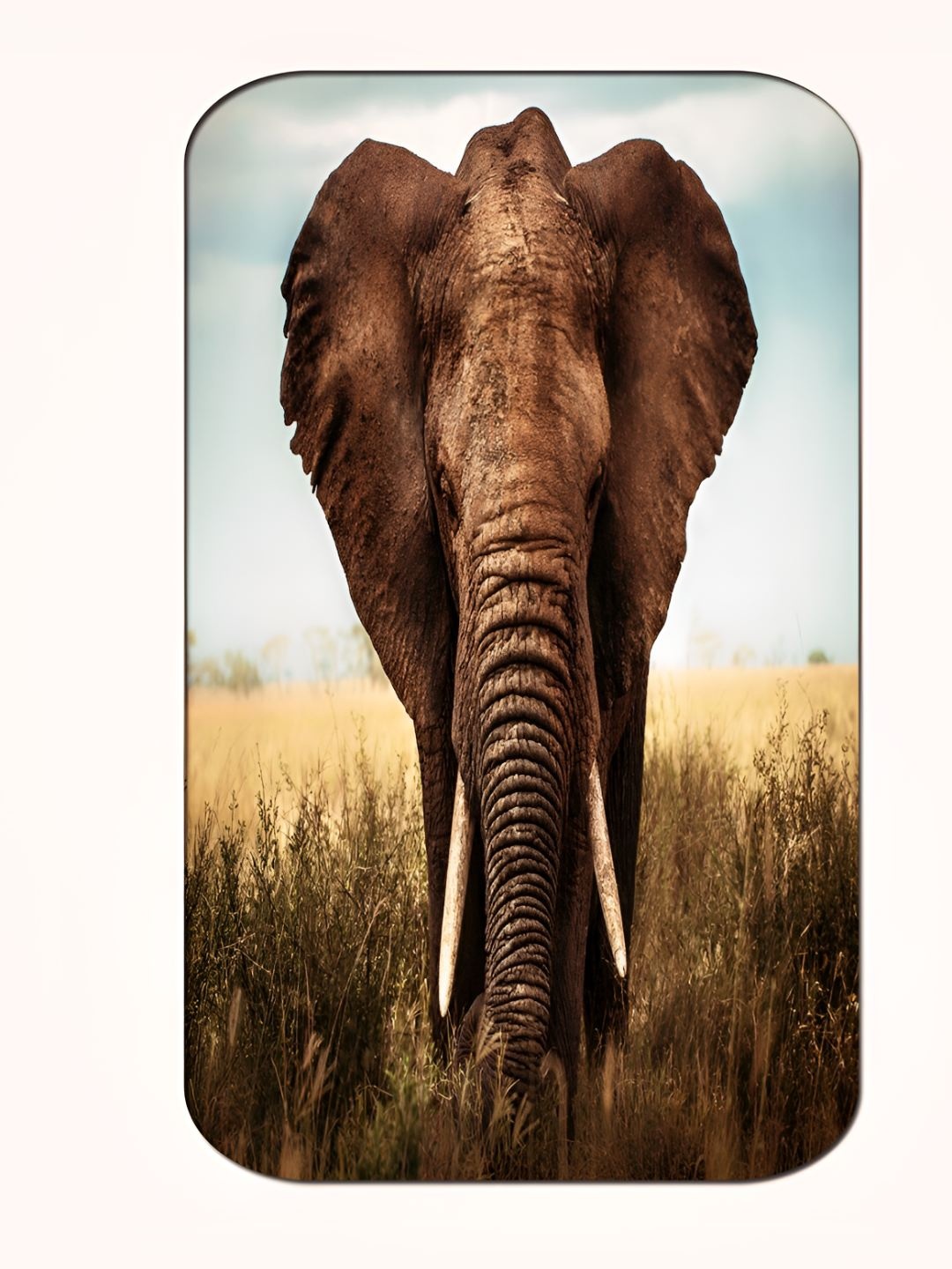 

Casperme Brown & Blue Wild Elephant Big Frame MDF Wooded Painting Wall Art
