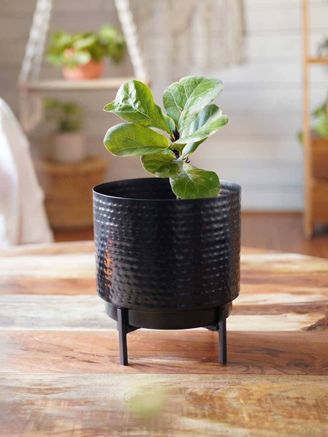 

BEHOMA Black Hammered Metal Planter & Stand Without Plant