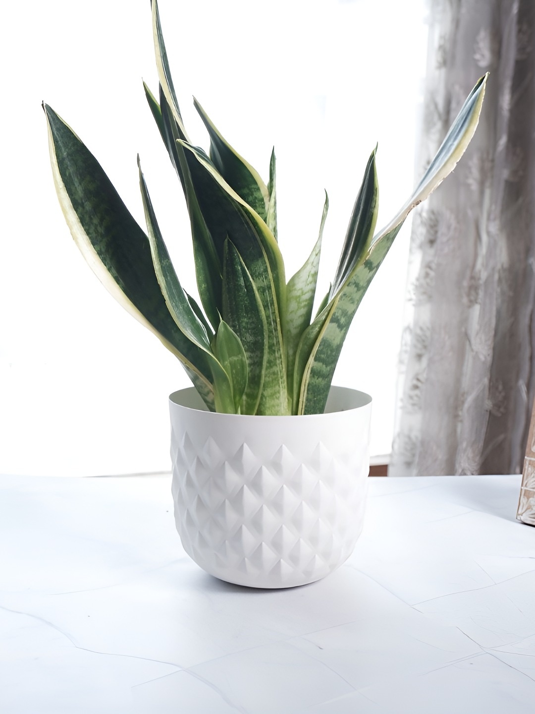 

BEHOMA White Pineapple Texture Planter