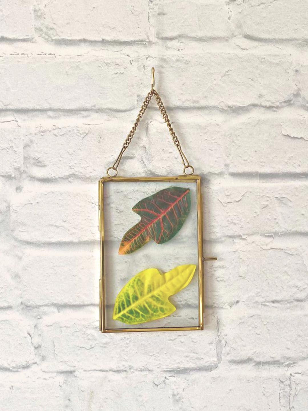 

BEHOMA Gold-Toned Glass & Brass Hanging Frame