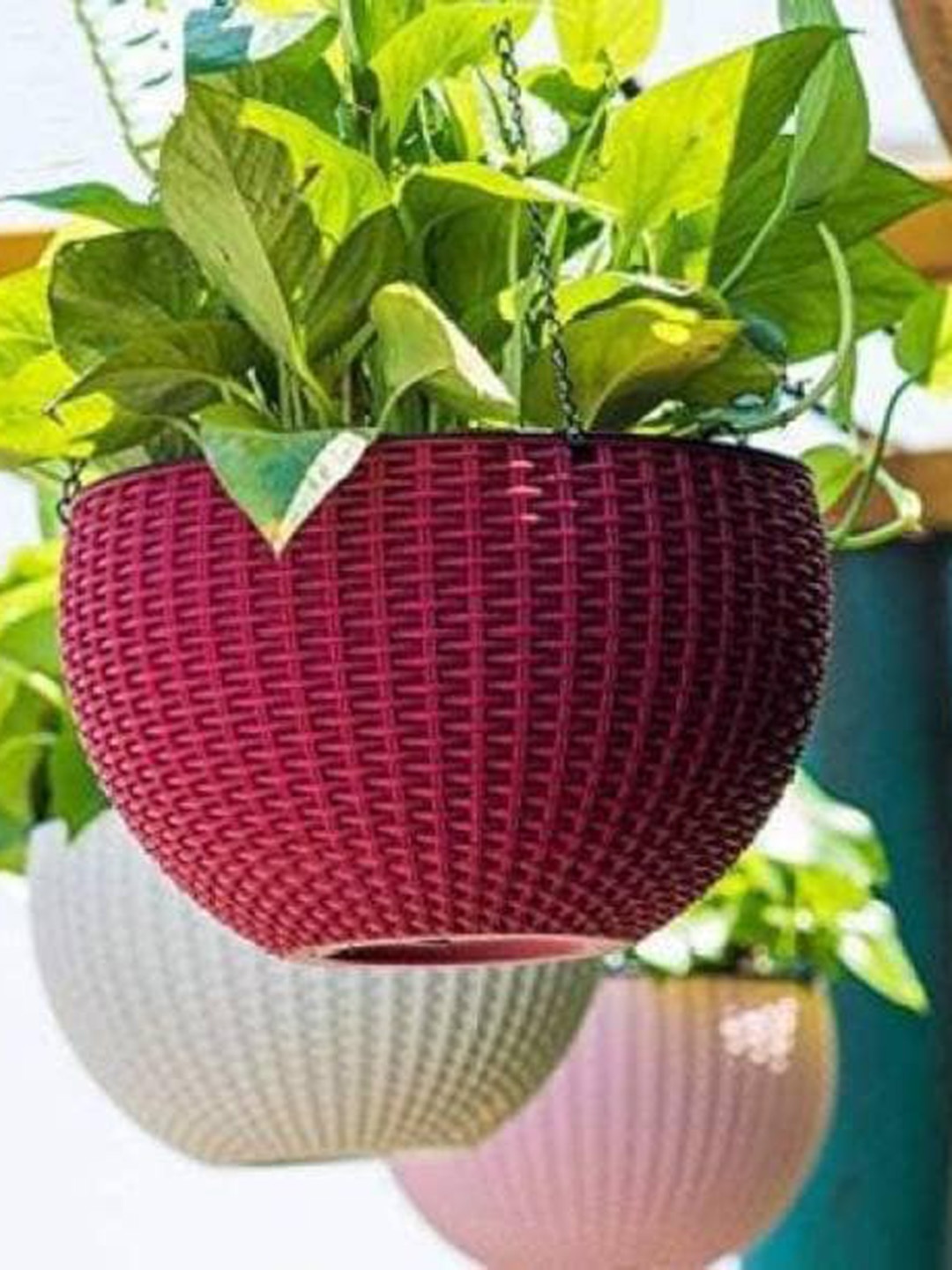 

AGAMI Euro Red Textured Hanging Pot