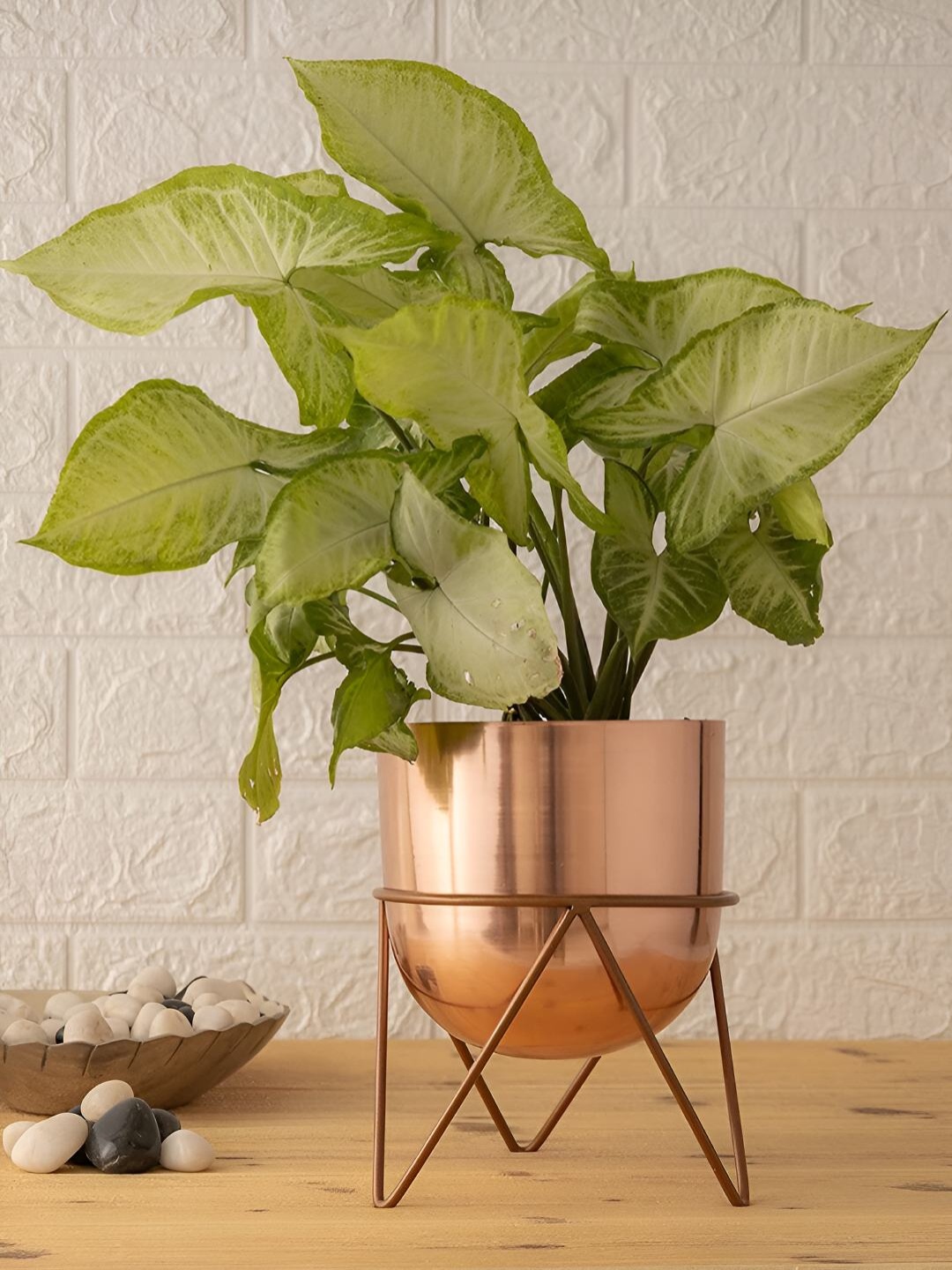 

HomeShastra Rose Gold Toned Iron Planters with Stand