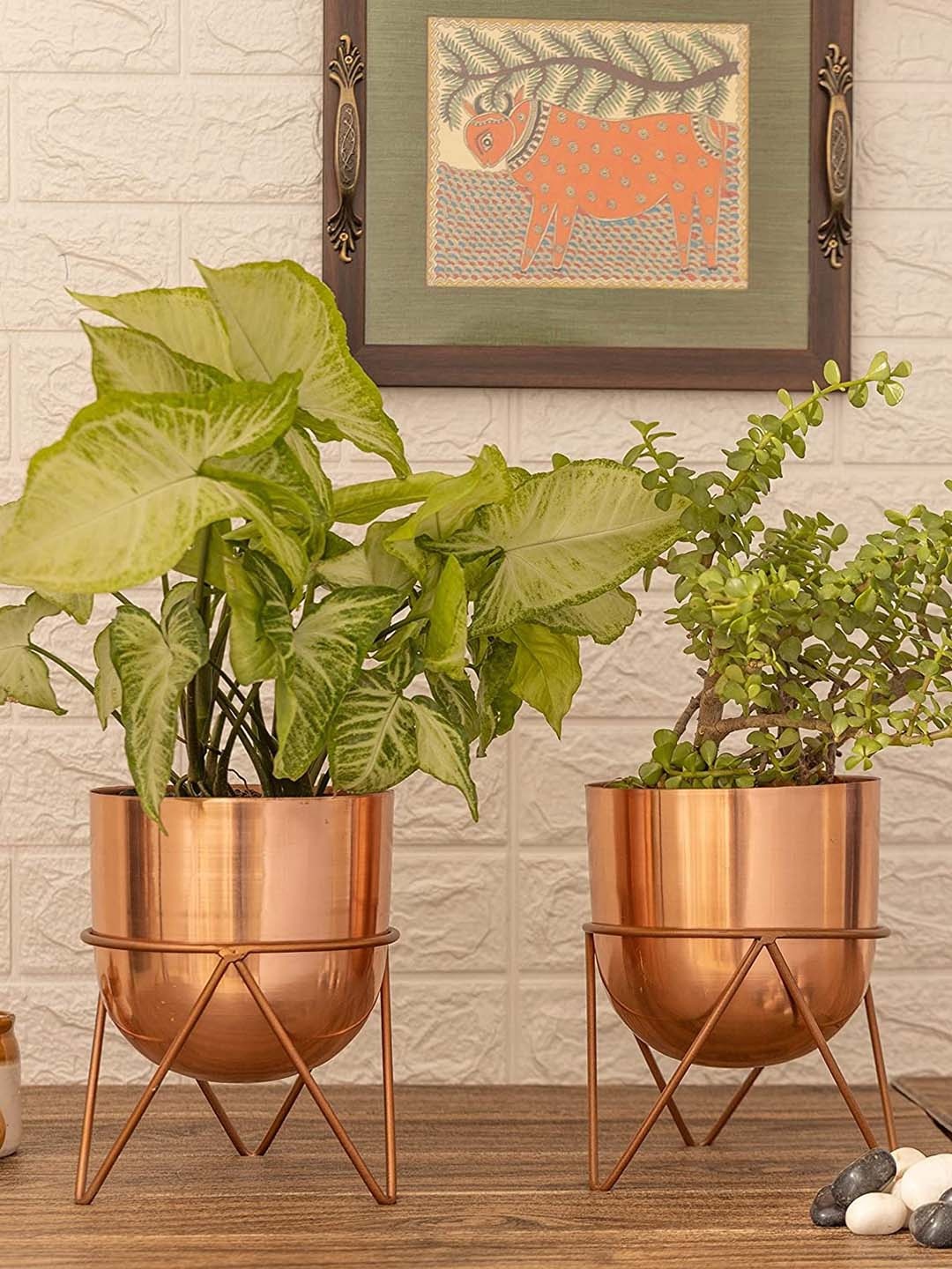 

HomeShastra Rose Gold Toned 2 Pieces Metal Planters with Stand