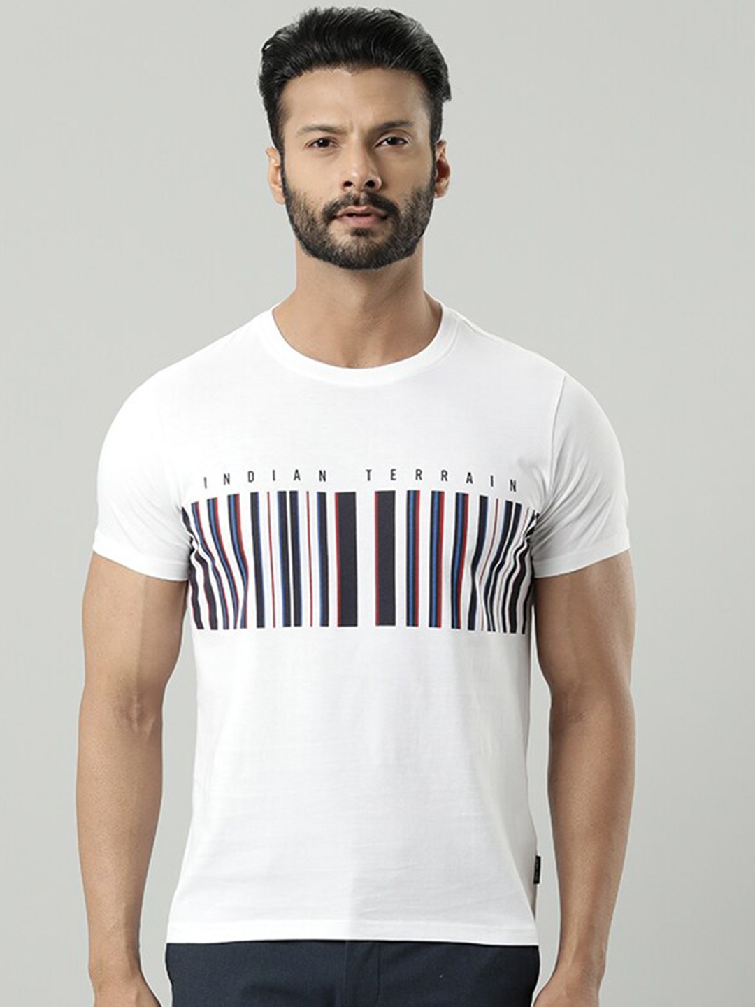 

Indian Terrain Striped Cotton Regular Fit T-shirt, White