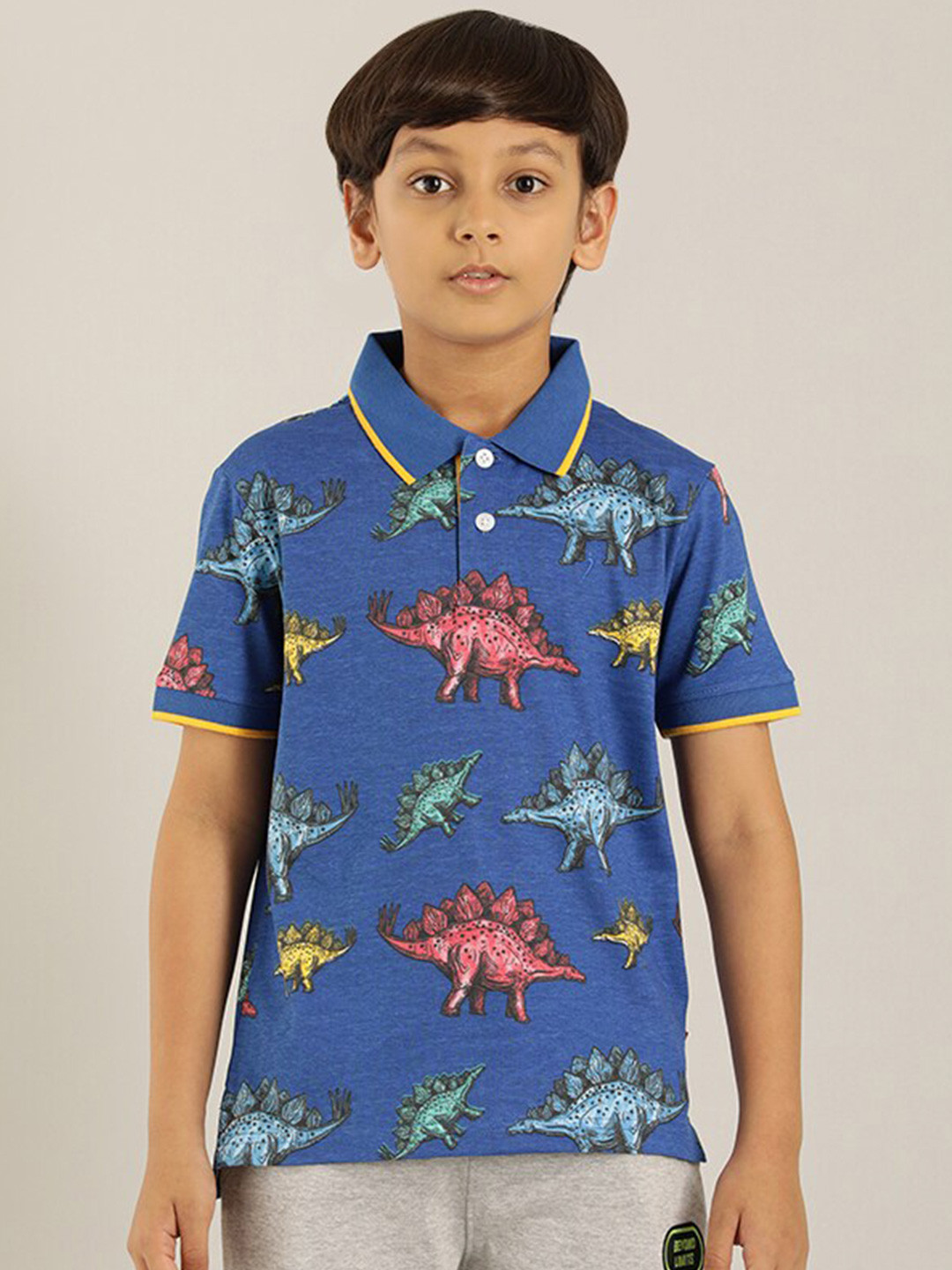 

Indian Terrain Boys Printed Pure Cotton T-shirt, Blue